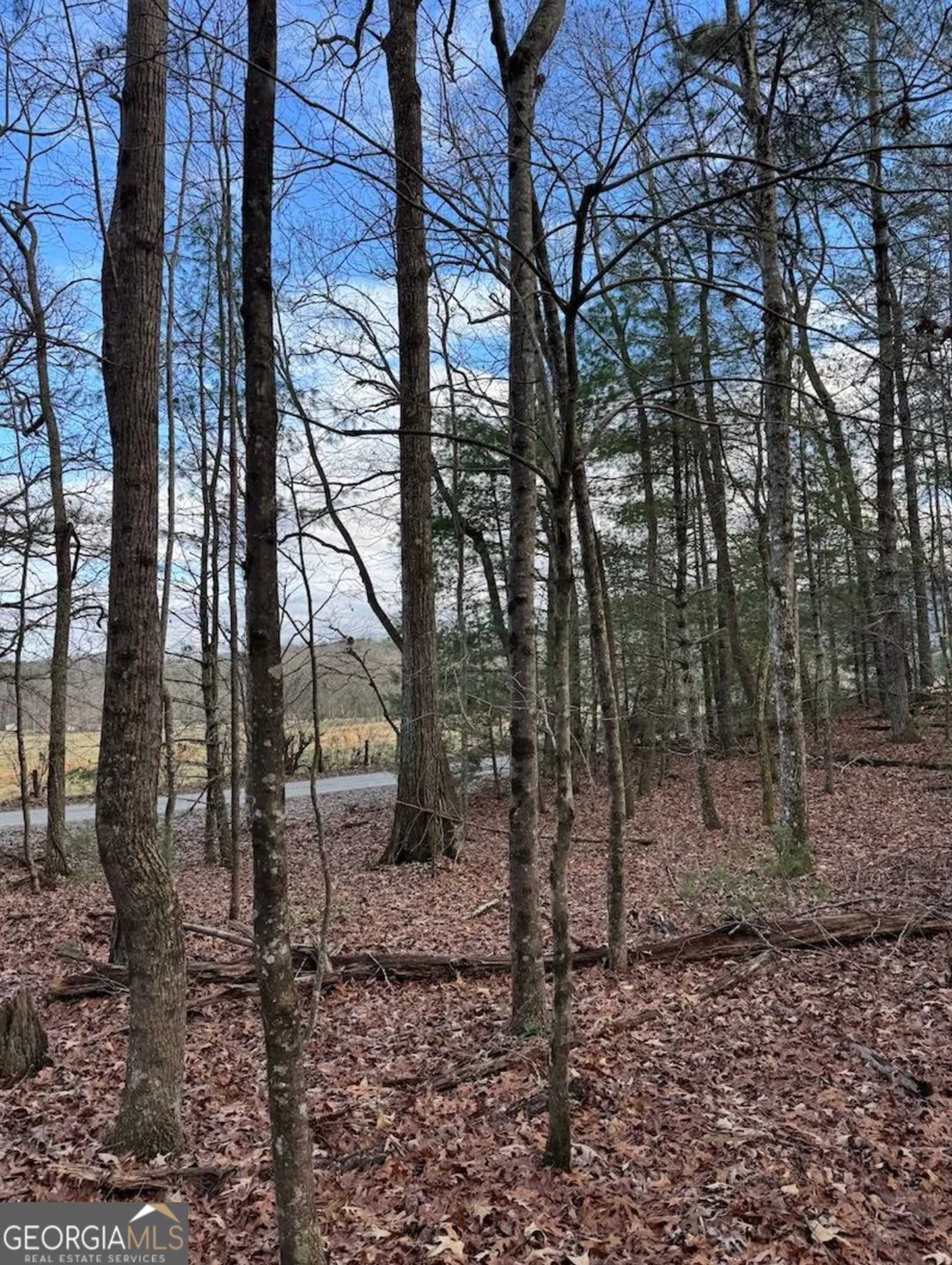 001 Fish Cove Road Blairsville GA 30512
