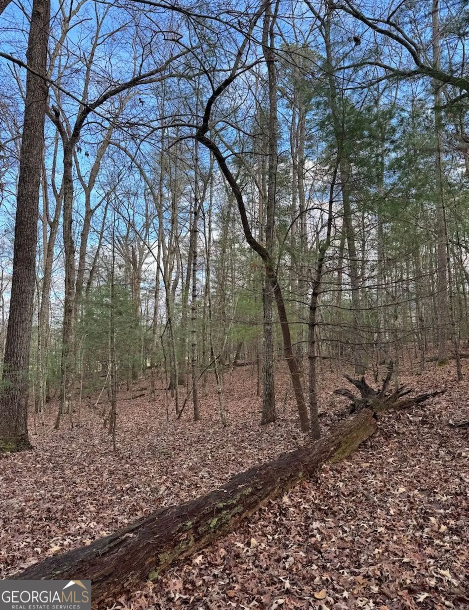 001 Fish Cove Road Blairsville GA 30512