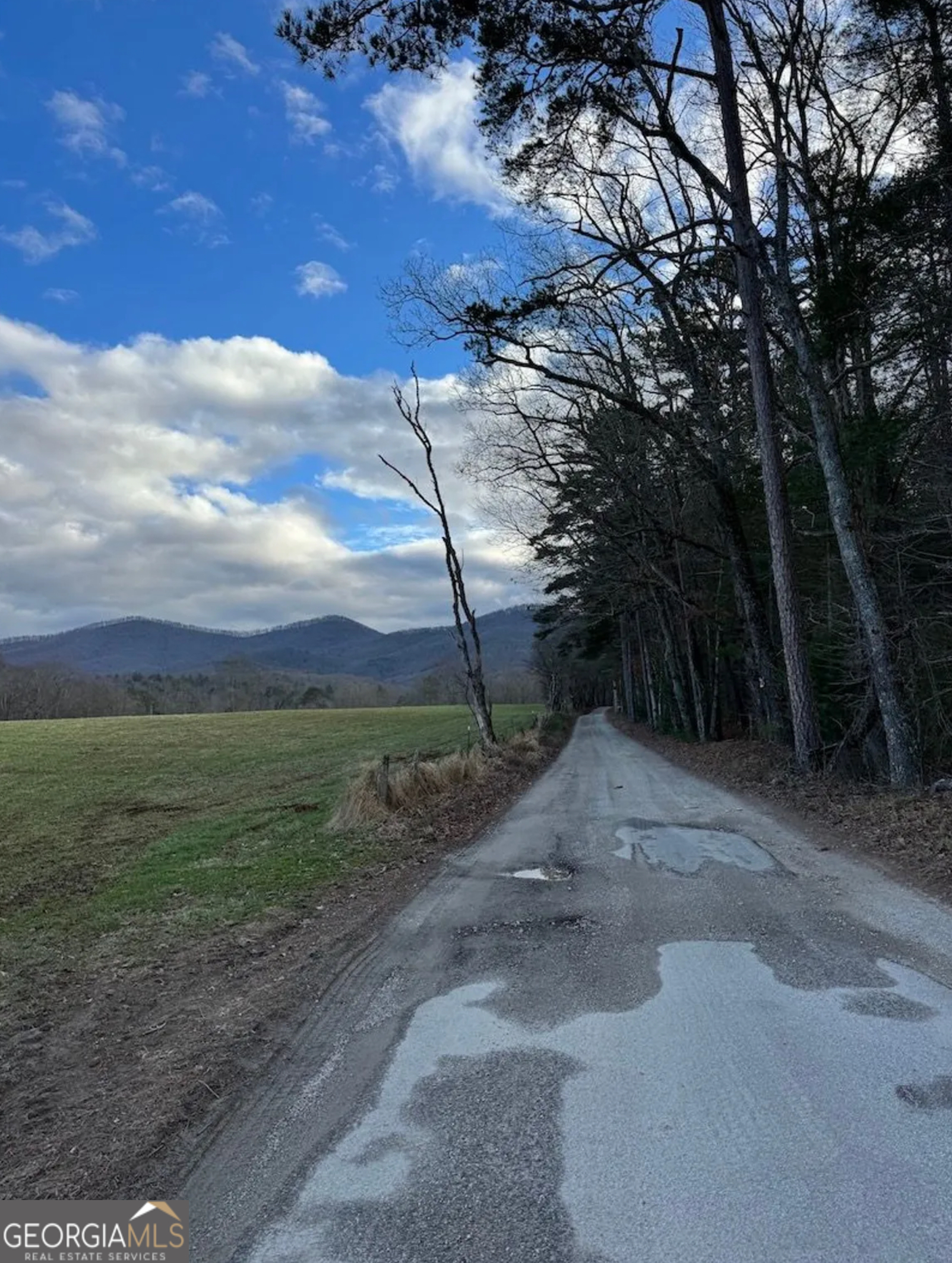 001 Fish Cove Road Blairsville GA 30512
