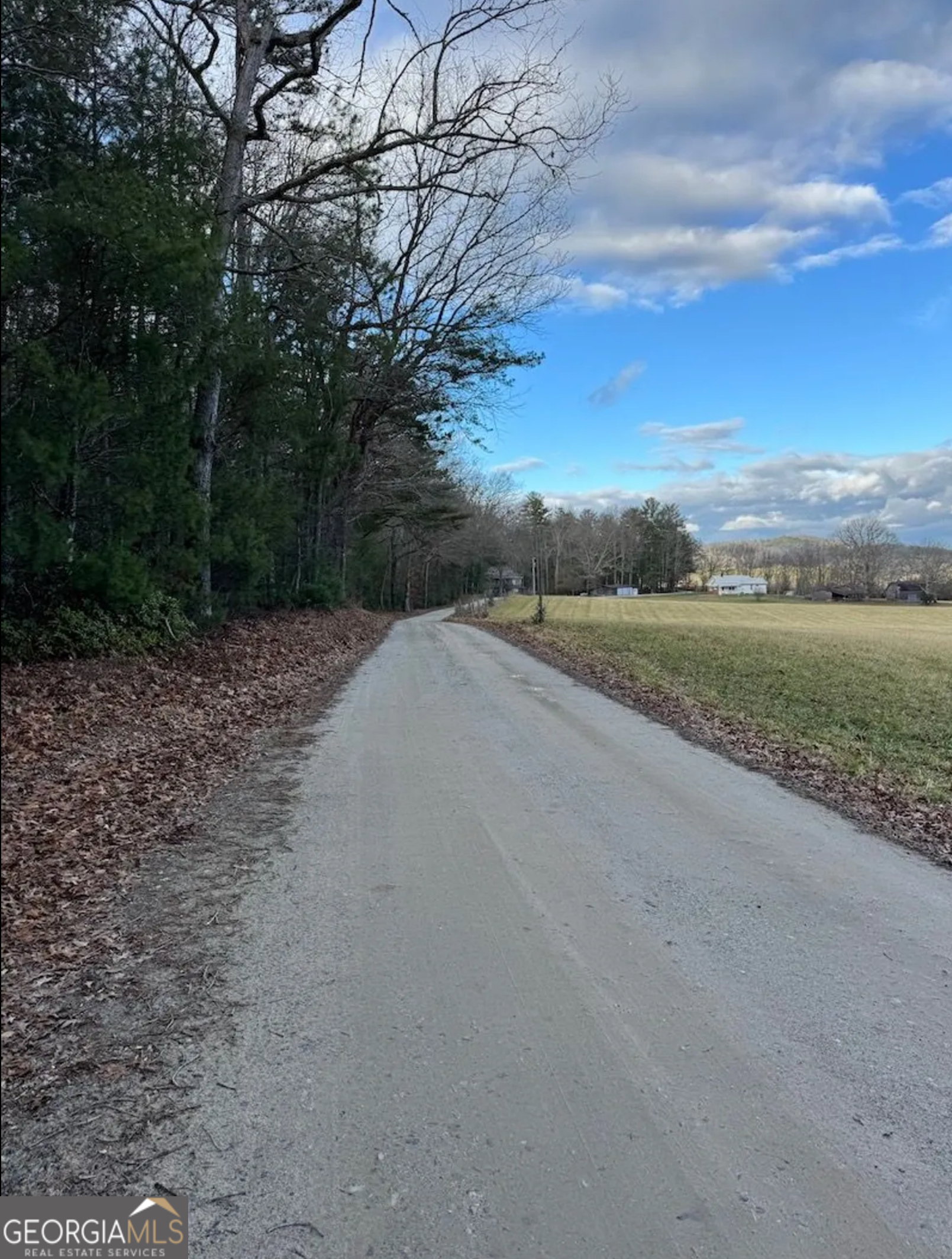 001 Fish Cove Road Blairsville GA 30512