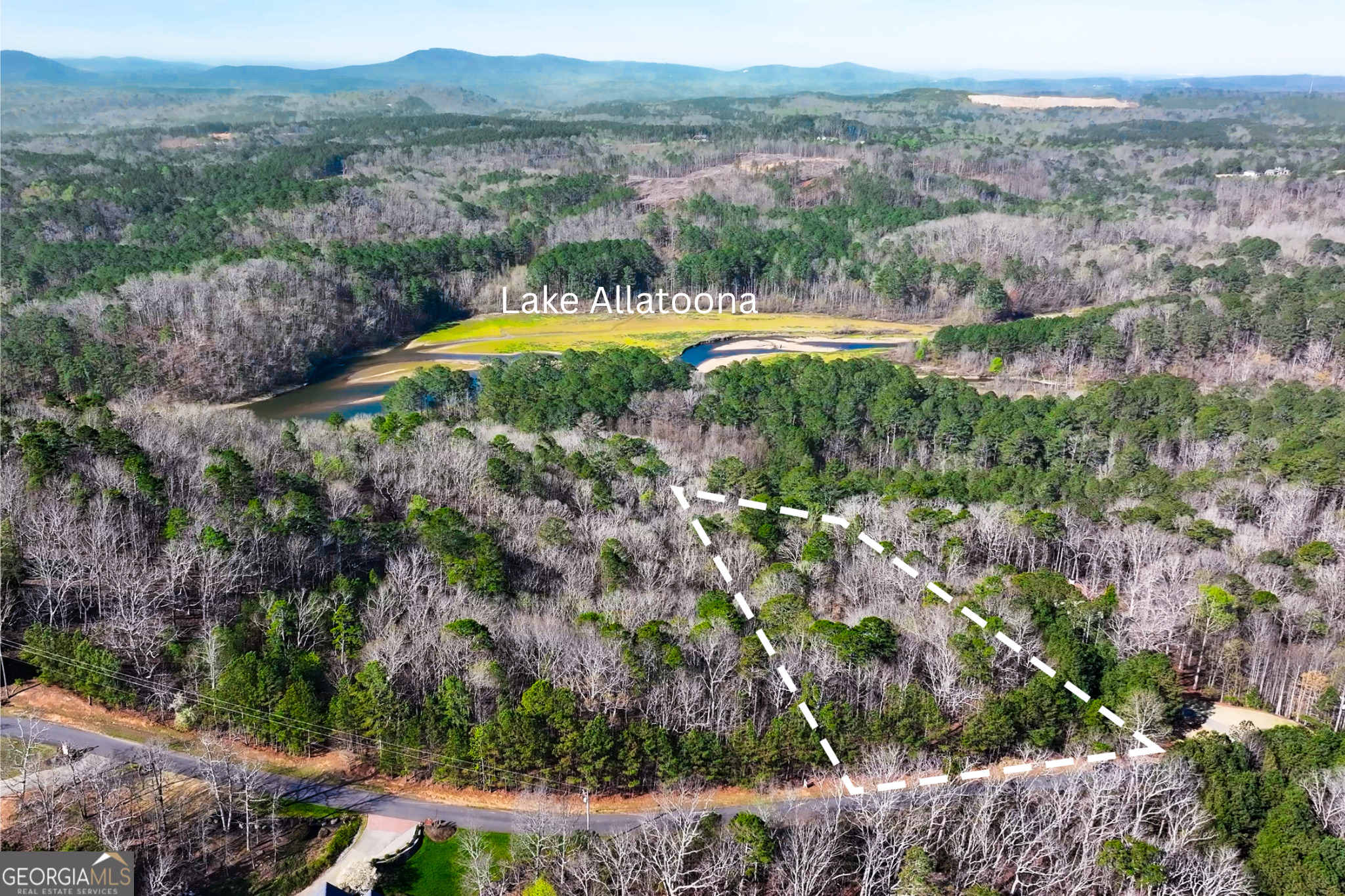 14 Hawks Branch Lane White GA 30184