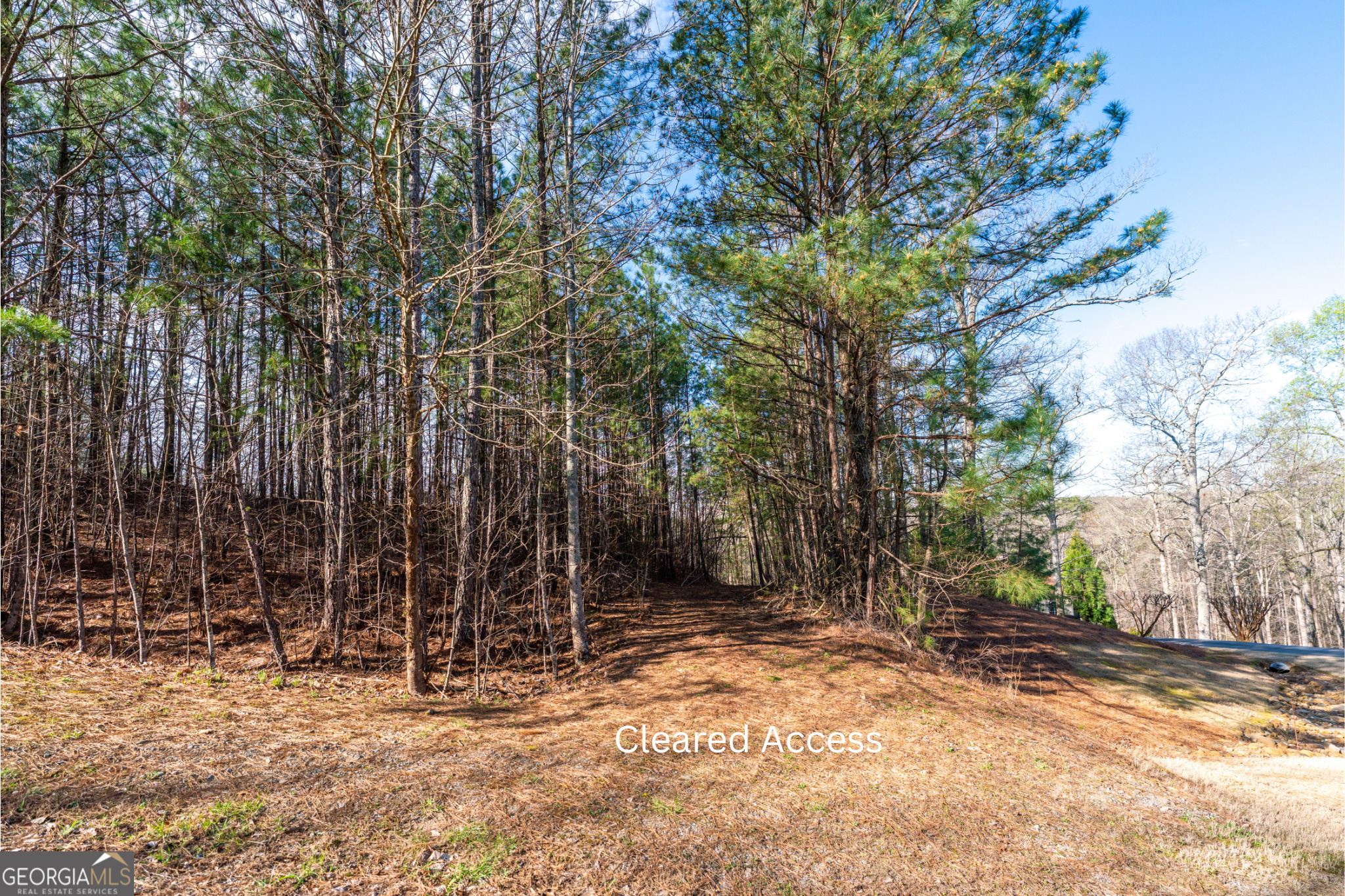 14 Hawks Branch Lane White GA 30184