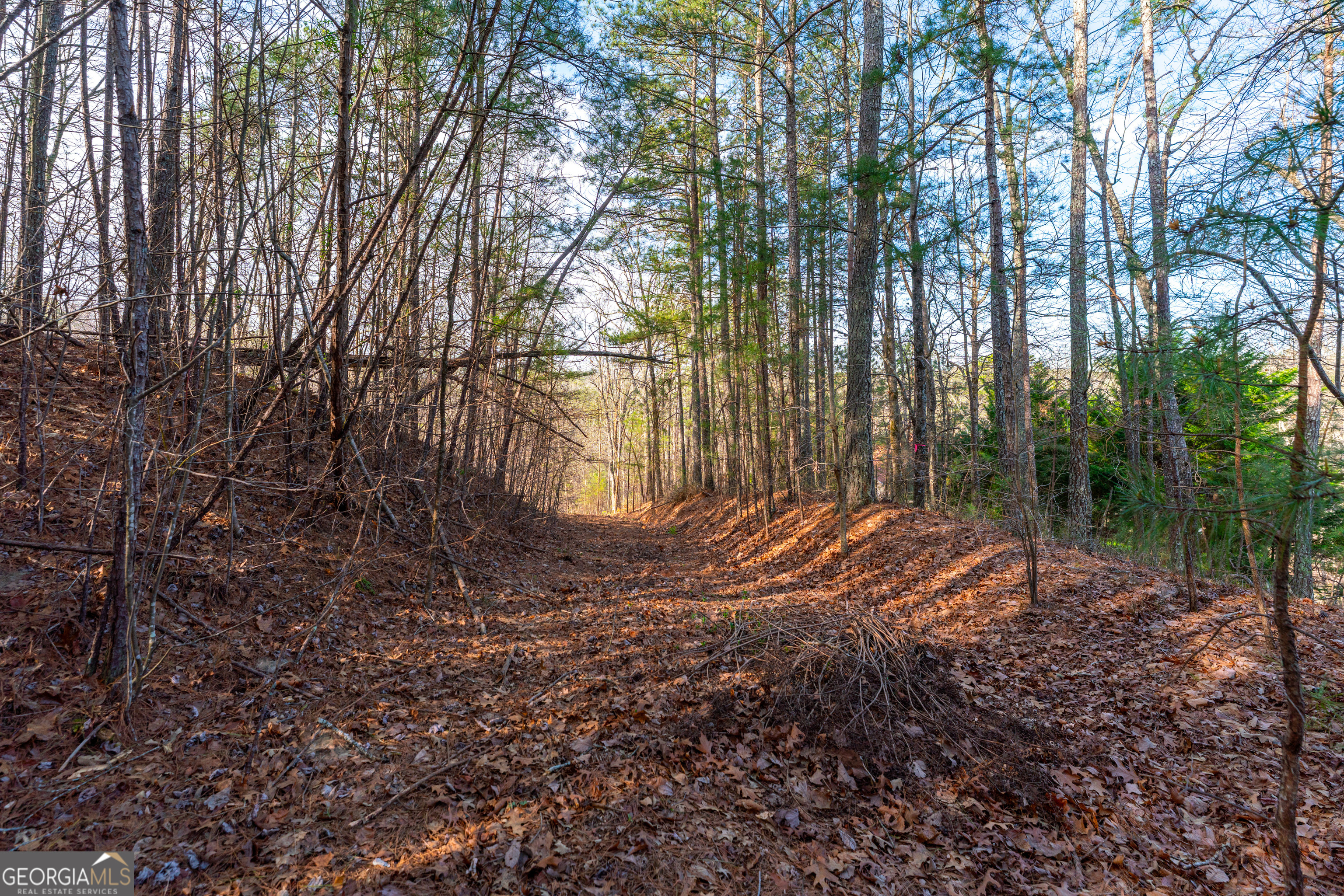 14 Hawks Branch Lane White GA 30184