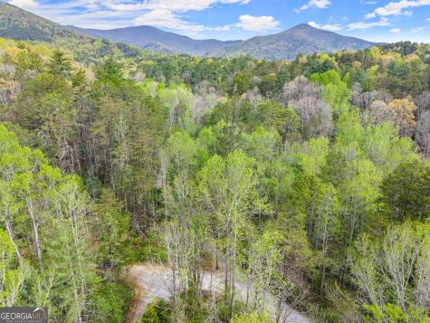 0 S Fern Cove Road Sautee Nacoochee GA 30571