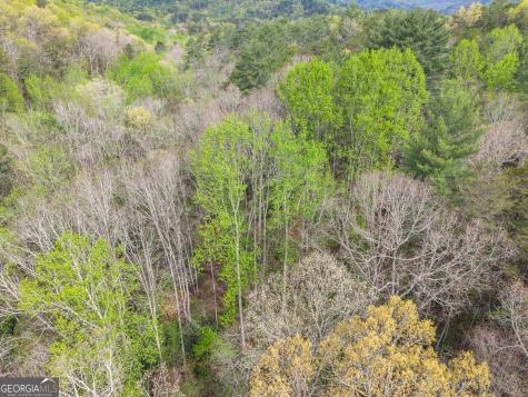 0 S Fern Cove Road Sautee Nacoochee GA 30571