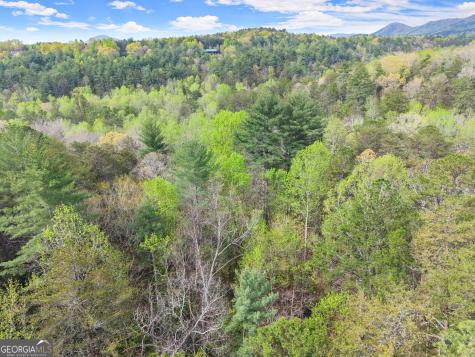 0 S Fern Cove Road Sautee Nacoochee GA 30571
