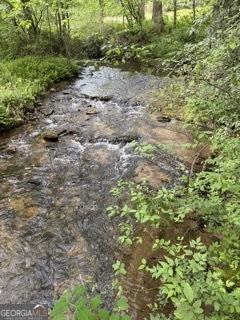 0 S Fern Cove Road Sautee Nacoochee GA 30571