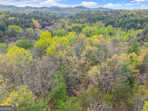 0 S Fern Cove Road Sautee Nacoochee GA 30571