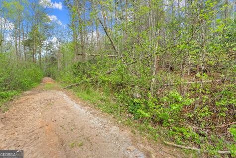 0 S Fern Cove Road Sautee Nacoochee GA 30571