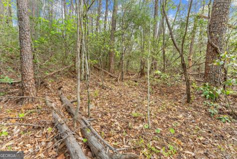 0 S Fern Cove Road Sautee Nacoochee GA 30571