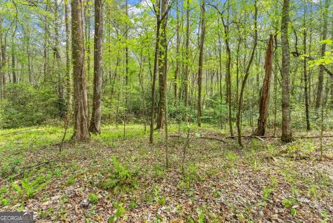 0 S Fern Cove Road Sautee Nacoochee GA 30571