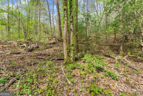 0 S Fern Cove Road Sautee Nacoochee GA 30571