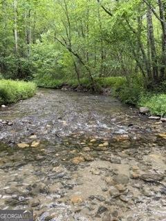 0 S Fern Cove Road Sautee Nacoochee GA 30571