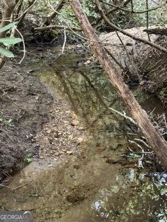 0 S Fern Cove Road Sautee Nacoochee GA 30571