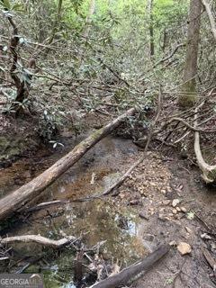 0 S Fern Cove Road Sautee Nacoochee GA 30571