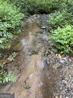 0 S Fern Cove Road Sautee Nacoochee GA 30571