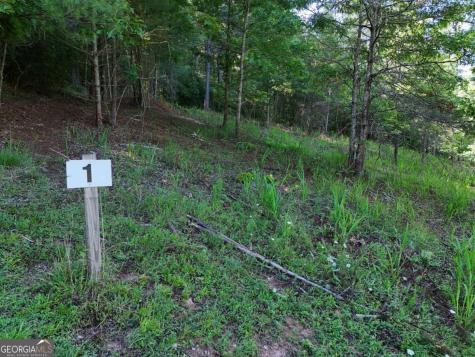 Lot 1 Big Knoll Drive Blairsville GA 30512
