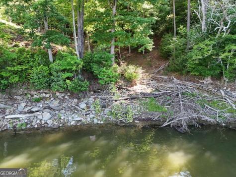 Lot 1 Big Knoll Drive Blairsville GA 30512