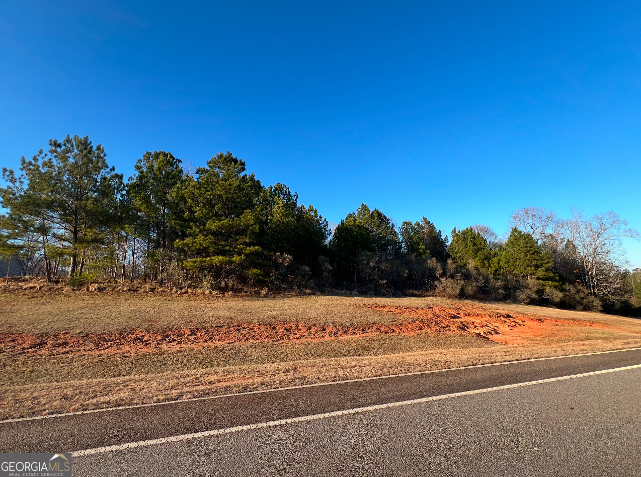 112 Gardens Drive Forsyth GA 31029