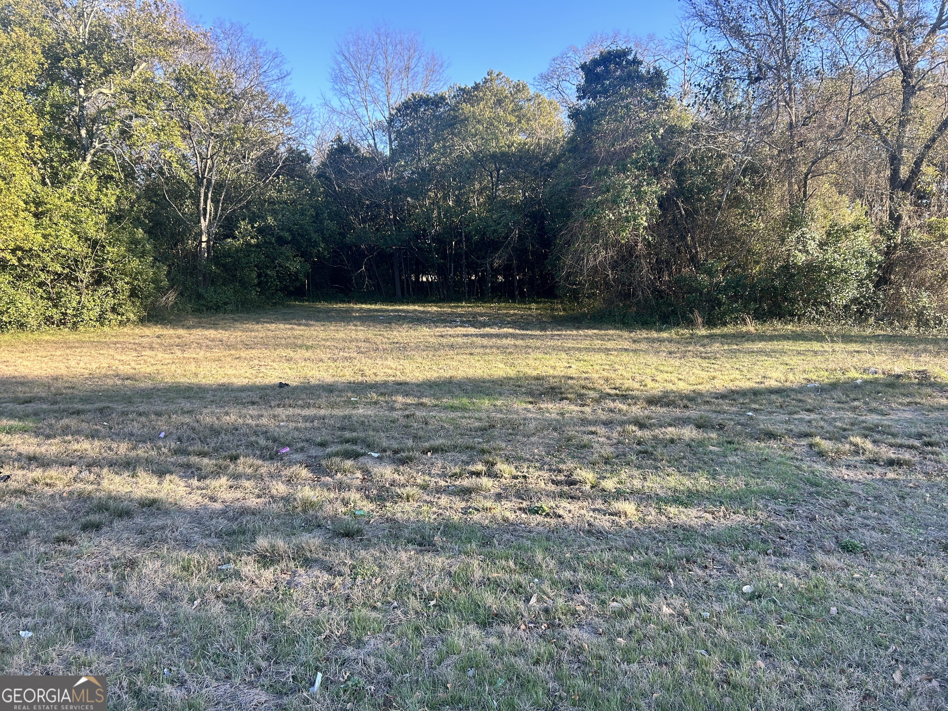 3009 Millerfield Road Macon GA 31217