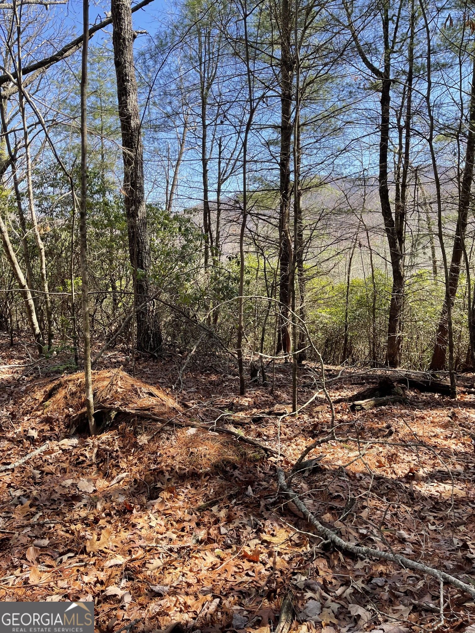 0 Chesada Lane Blairsville GA 30512