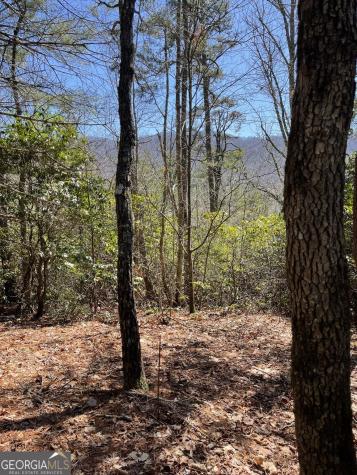 0 Chesada Lane Blairsville GA 30512