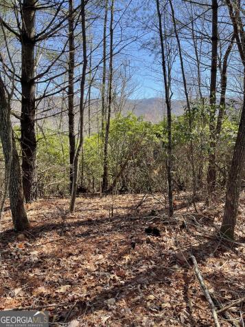 0 Chesada Lane Blairsville GA 30512