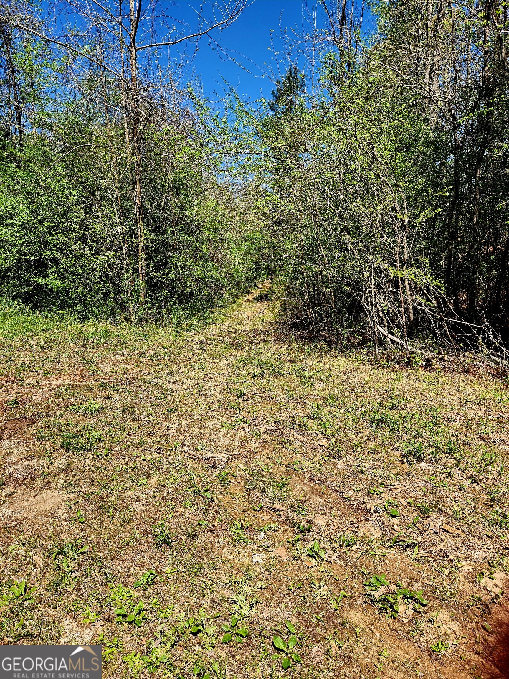 0 Mount Carmel Road Newnan GA 30263