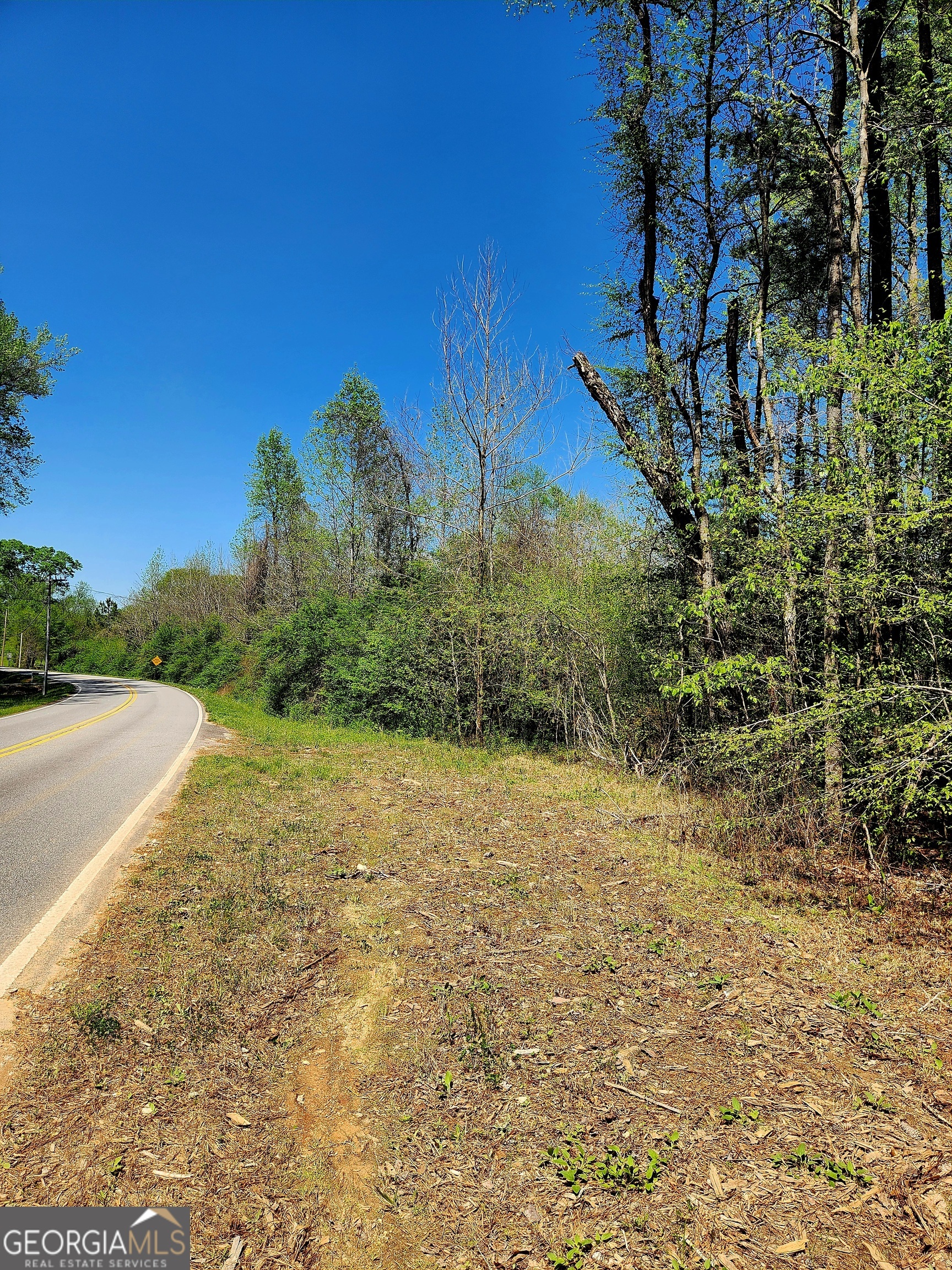 0 Mount Carmel Road Newnan GA 30263