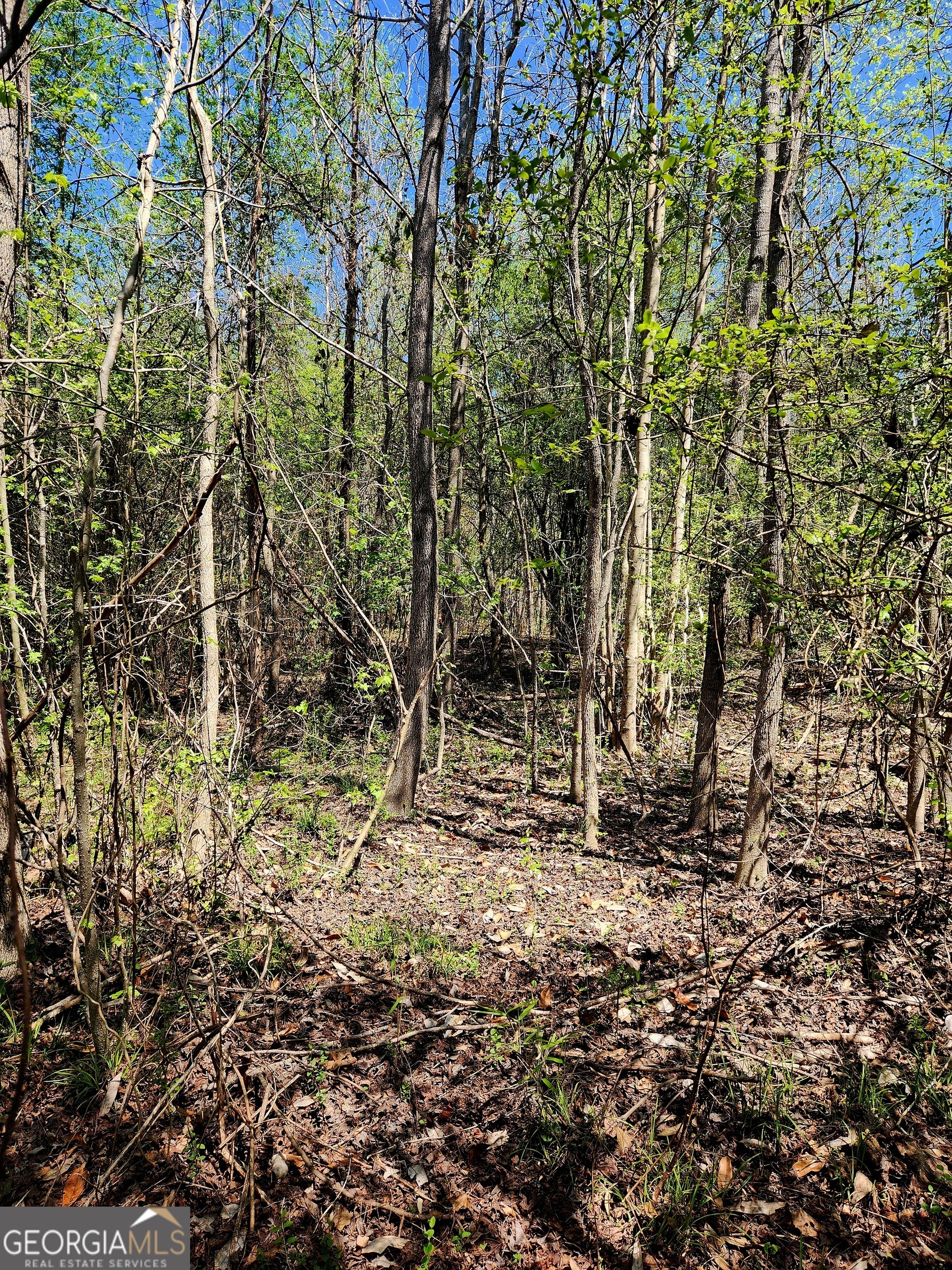 0 Mount Carmel Road Newnan GA 30263