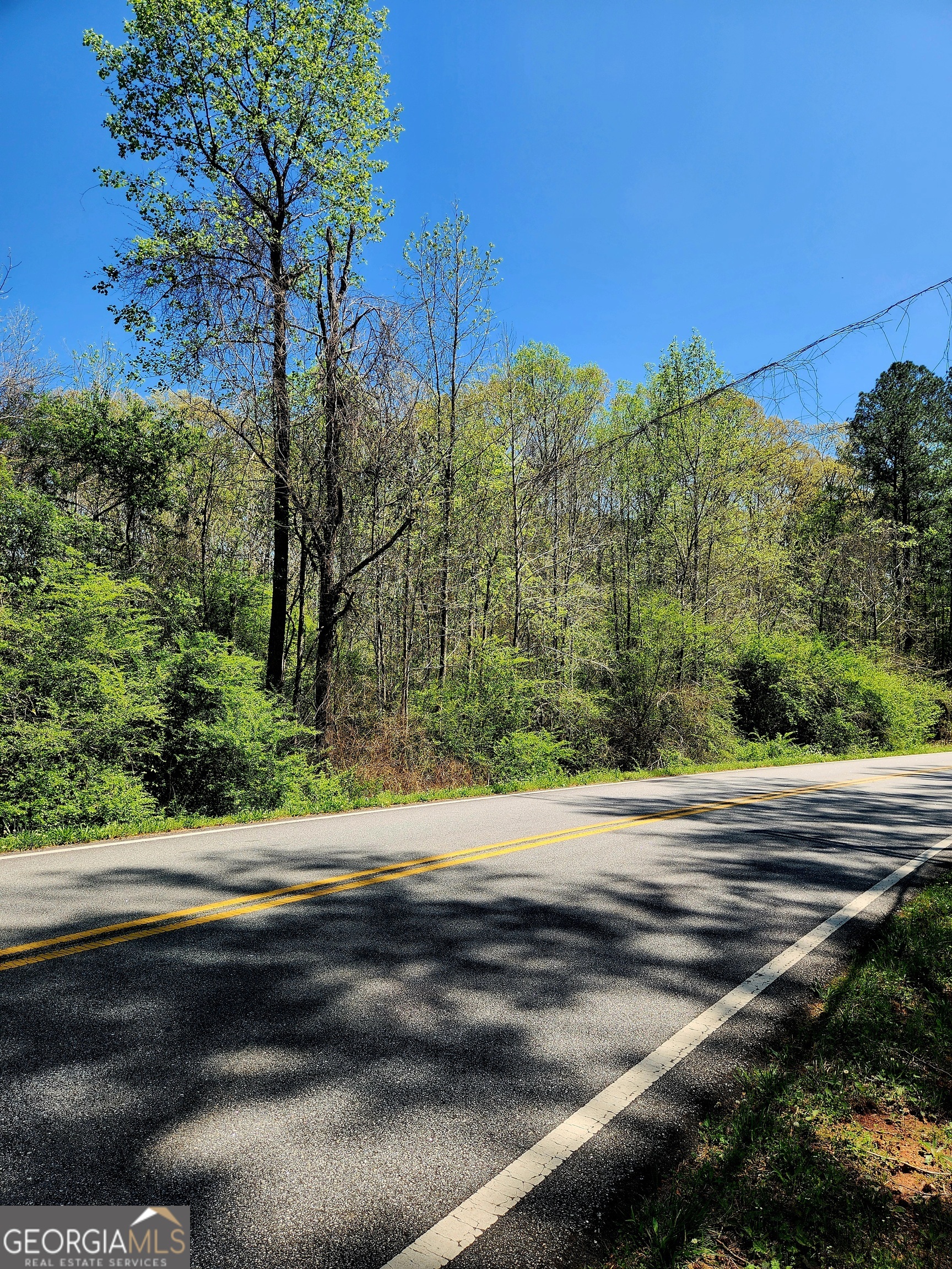 0 Mount Carmel Road Newnan GA 30263
