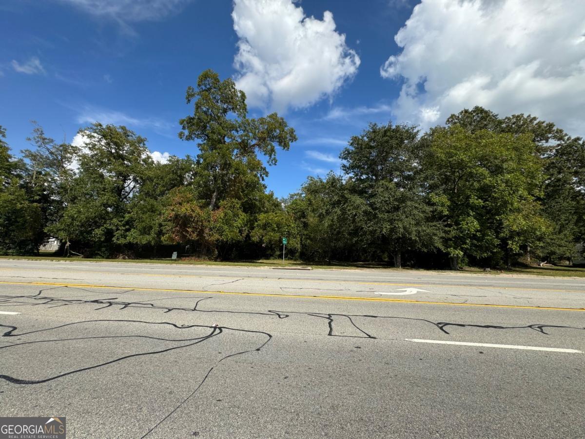 0 Golden Isles Highway Lumber City GA 31549