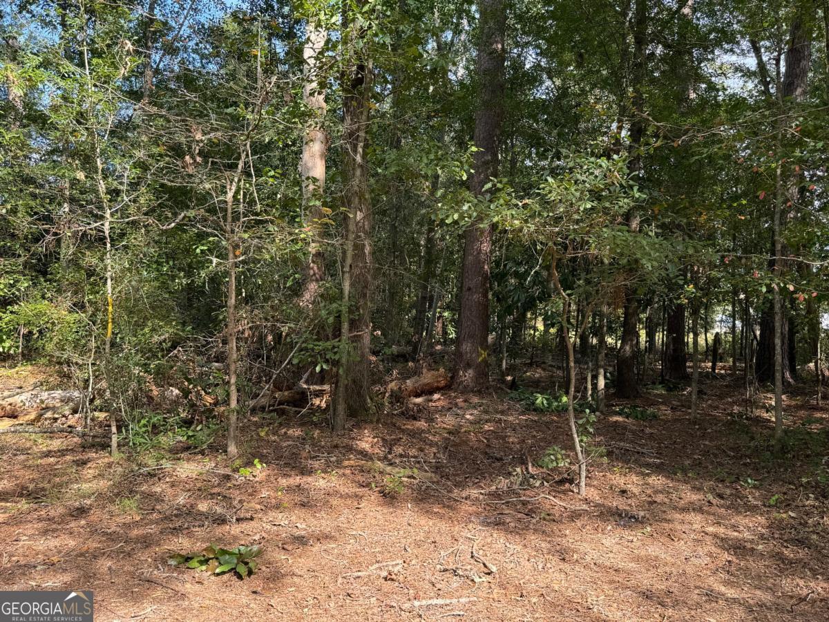 0 Golden Isles Highway Lumber City GA 31549