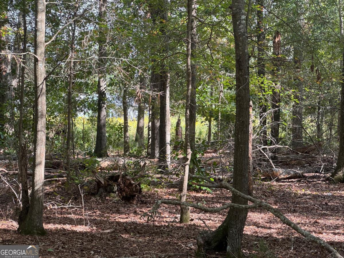 0 Golden Isles Highway Lumber City GA 31549