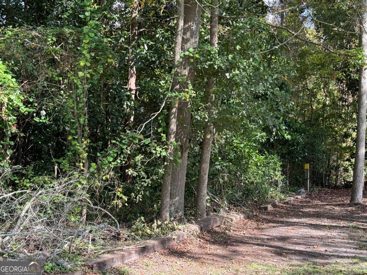 0 Golden Isles Highway Lumber City GA 31549