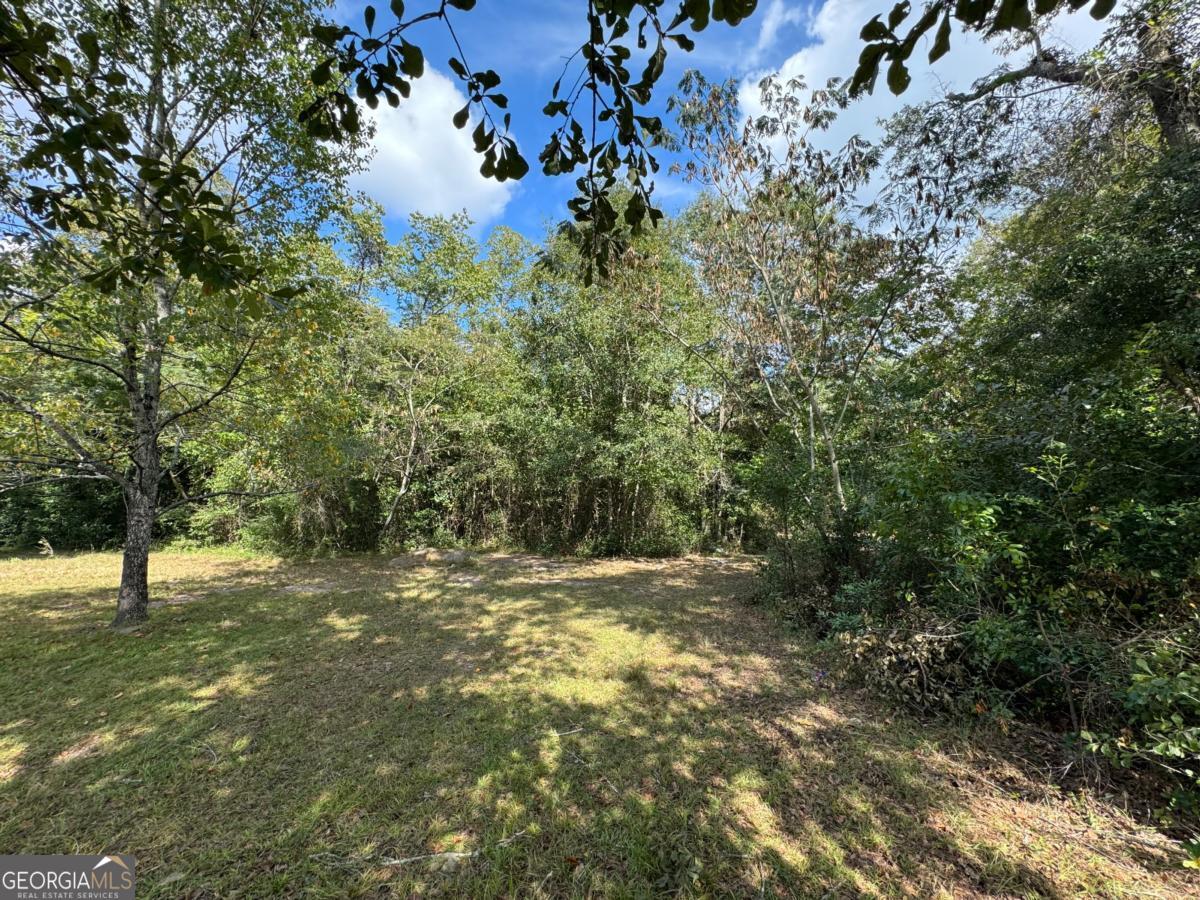 0 Golden Isles Highway Lumber City GA 31549
