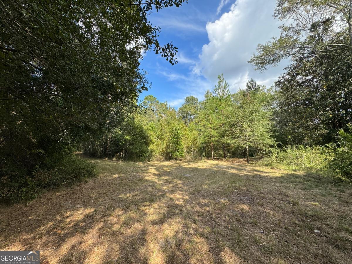 0 Golden Isles Highway Lumber City GA 31549