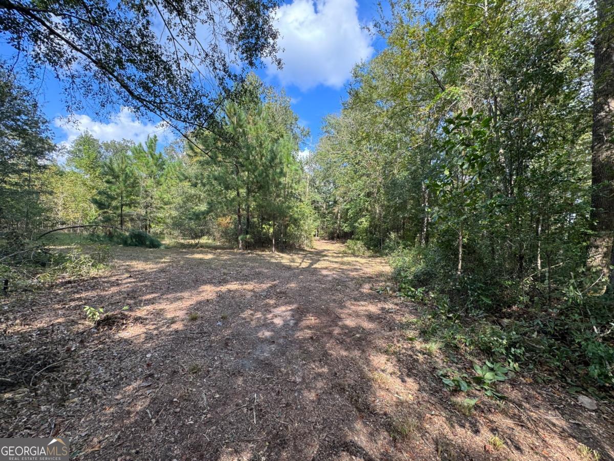 0 Golden Isles Highway Lumber City GA 31549