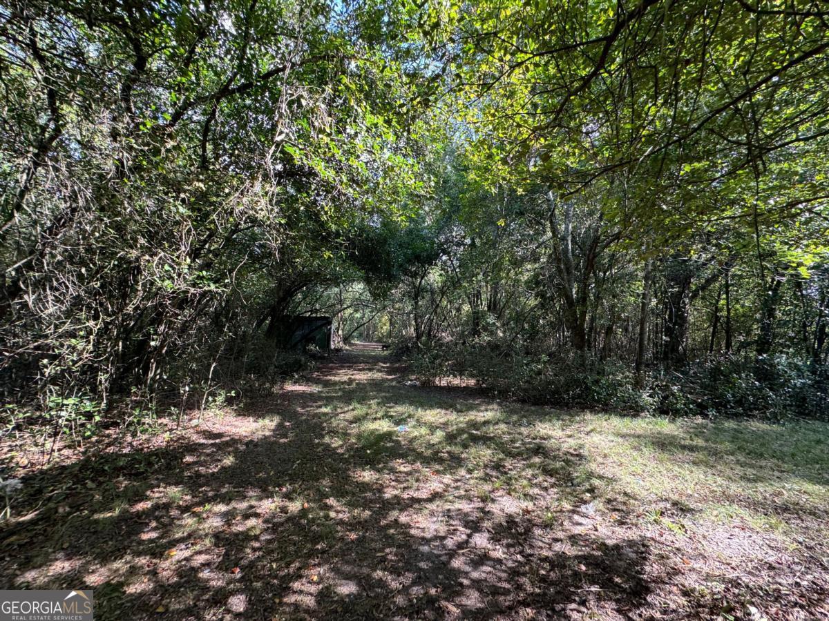 0 Golden Isles Highway Lumber City GA 31549