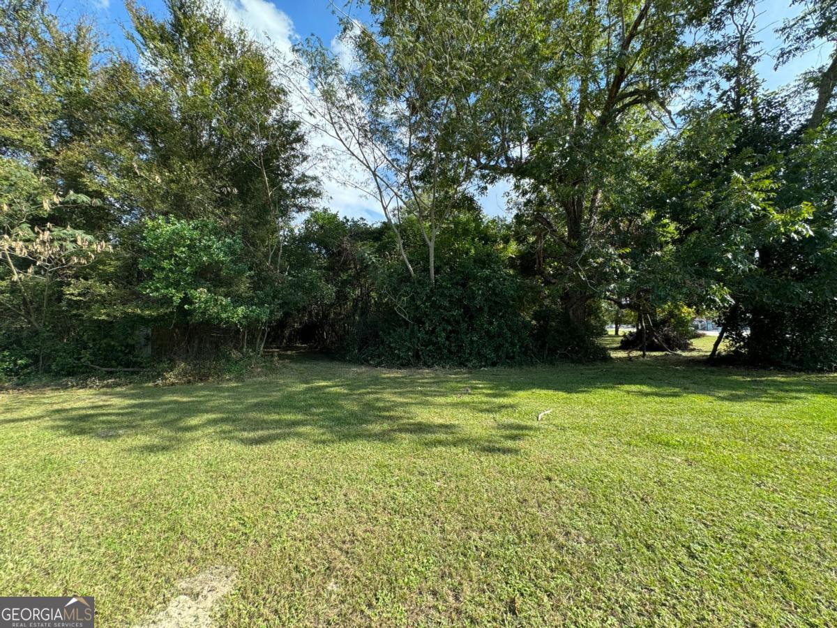 0 Golden Isles Highway Lumber City GA 31549