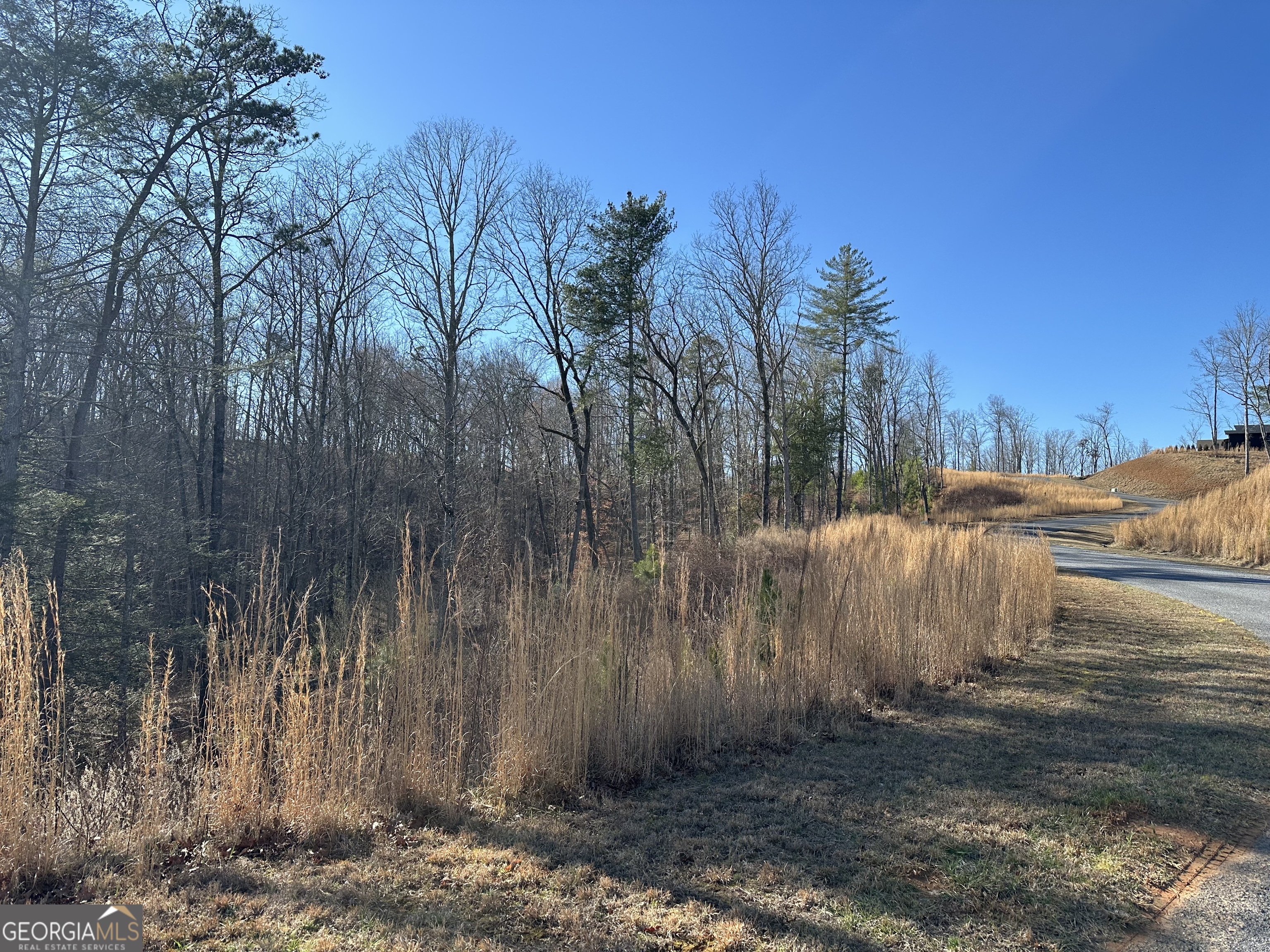 77 River Overlook Lane S Ellijay GA 30540