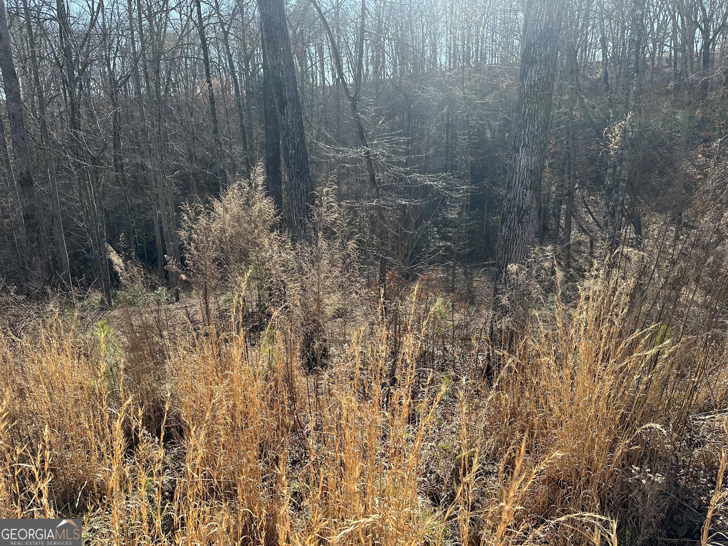 77 River Overlook Lane S Ellijay GA 30540