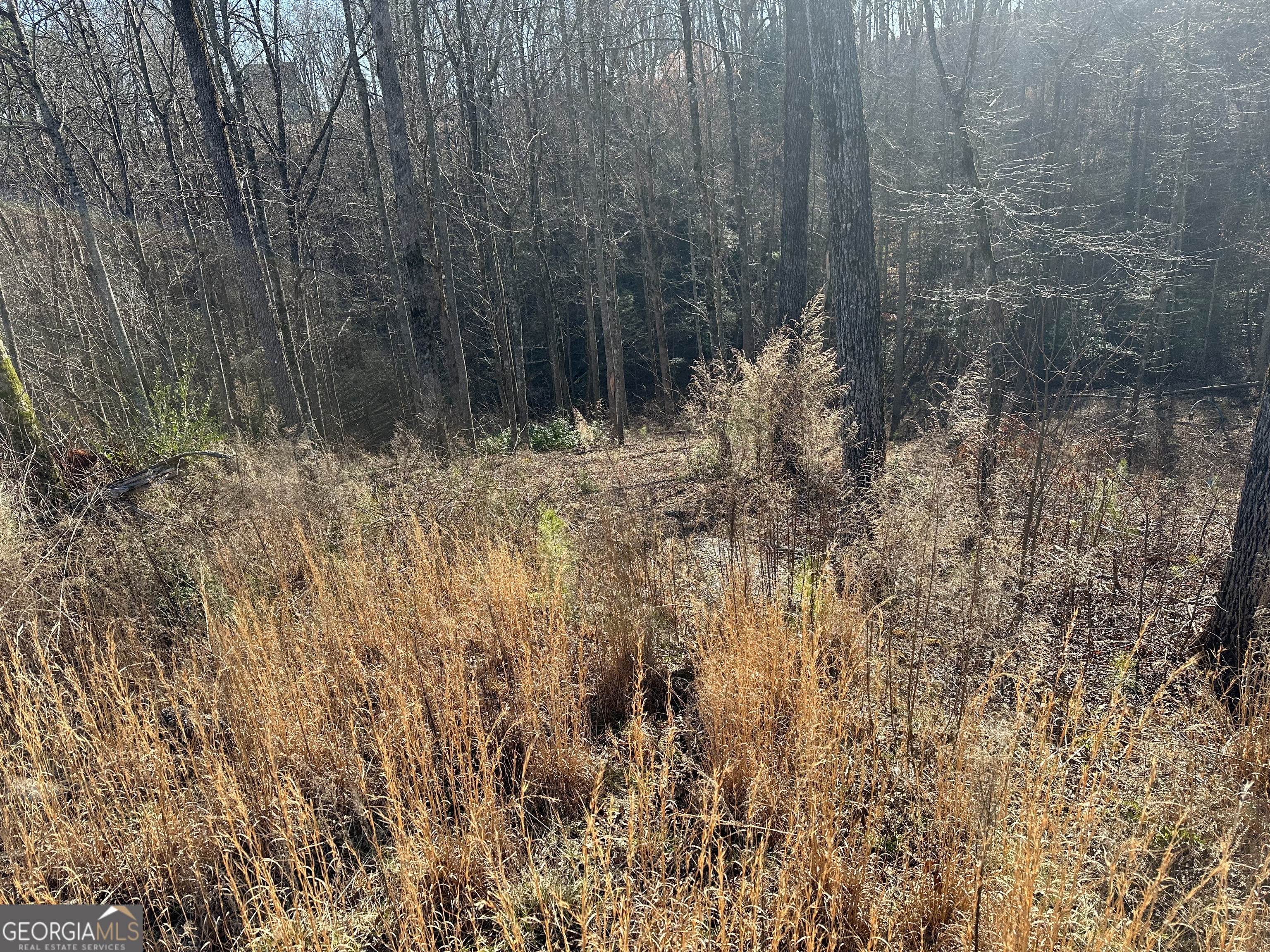 77 River Overlook Lane S Ellijay GA 30540