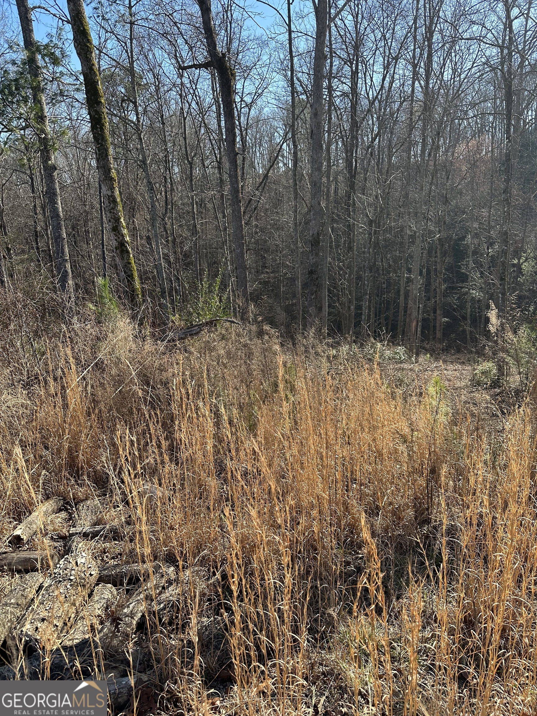 77 River Overlook Lane S Ellijay GA 30540