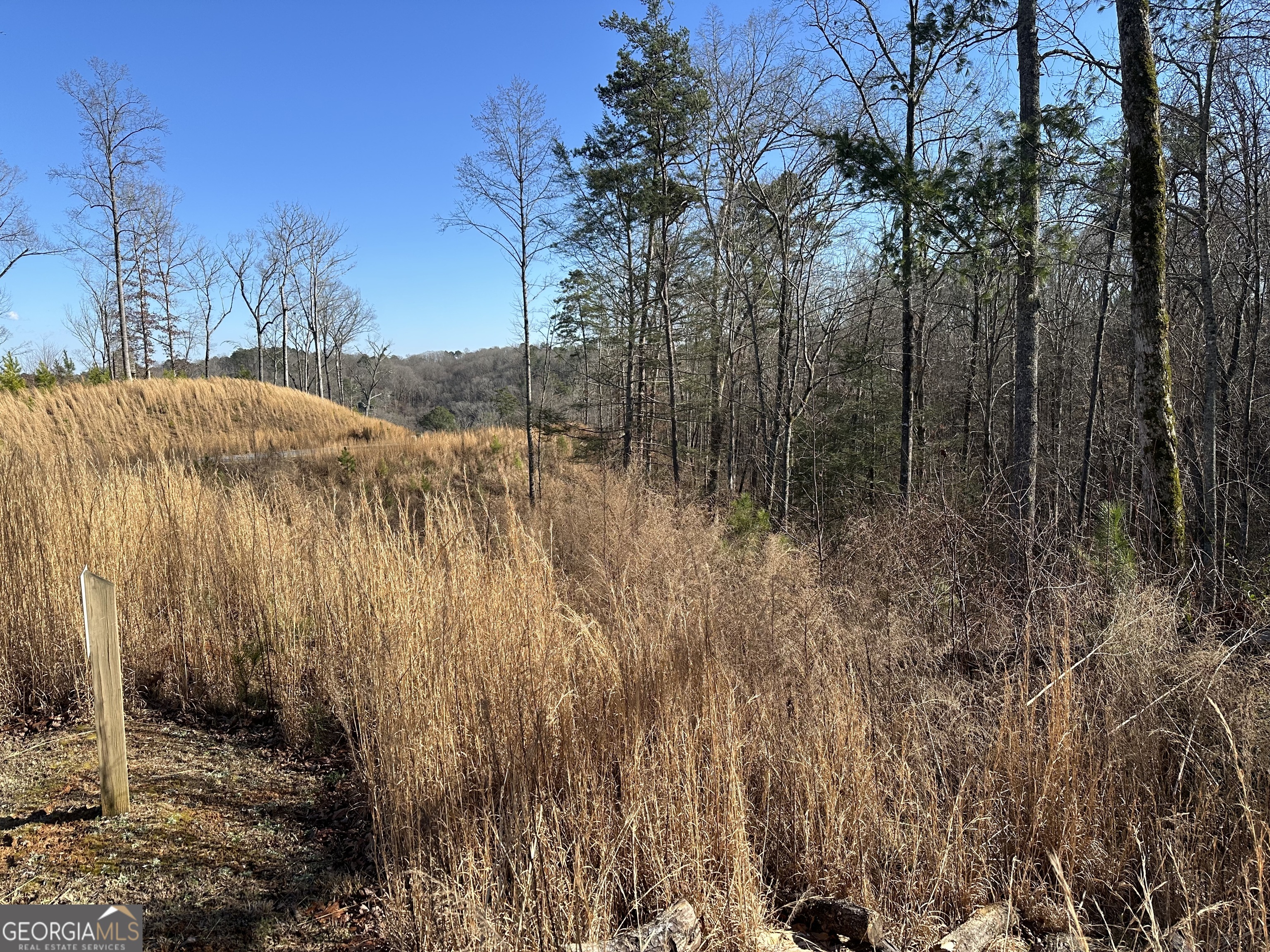 77 River Overlook Lane S Ellijay GA 30540