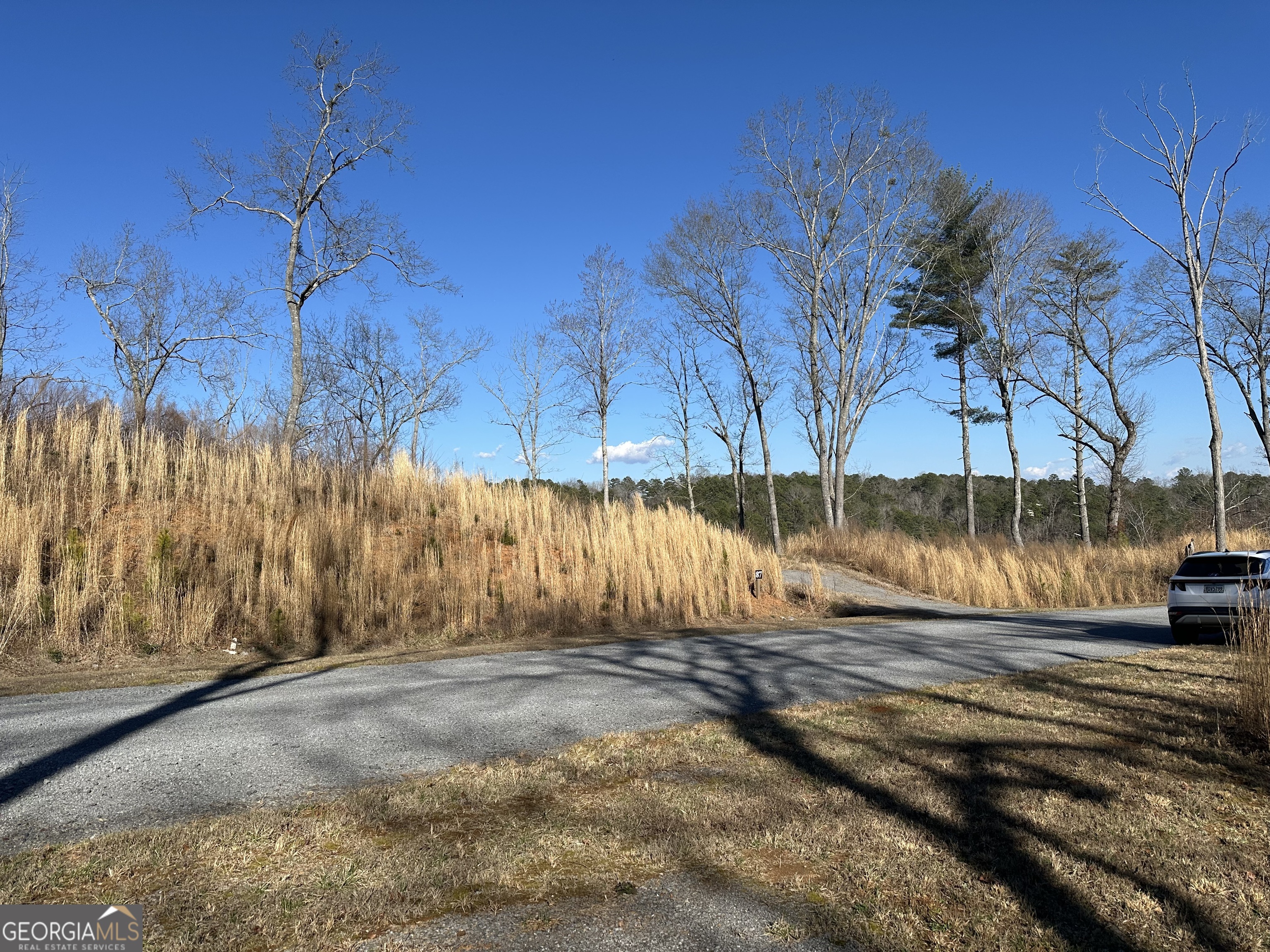 77 River Overlook Lane S Ellijay GA 30540