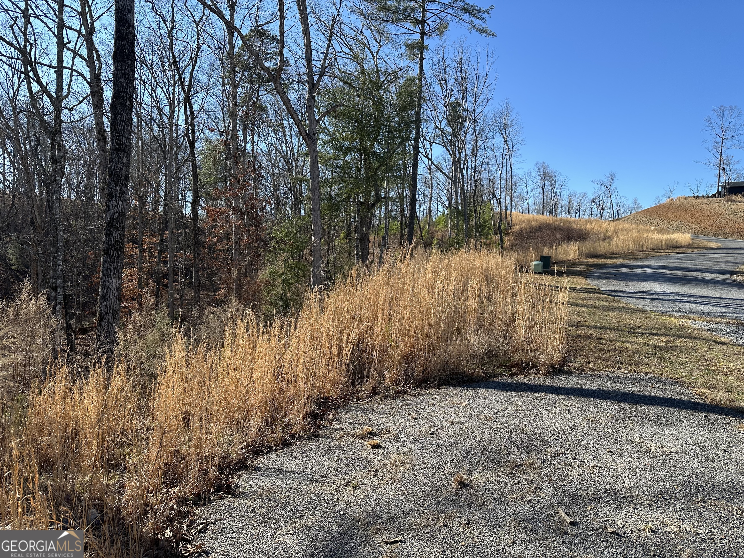 77 River Overlook Lane S Ellijay GA 30540