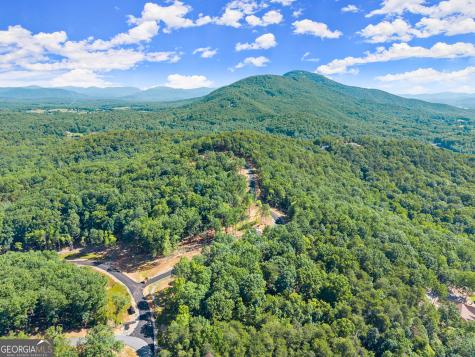 132 Chimney Oaks Trail Cleveland GA 30528
