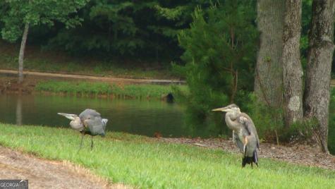 132 Chimney Oaks Trail Cleveland GA 30528