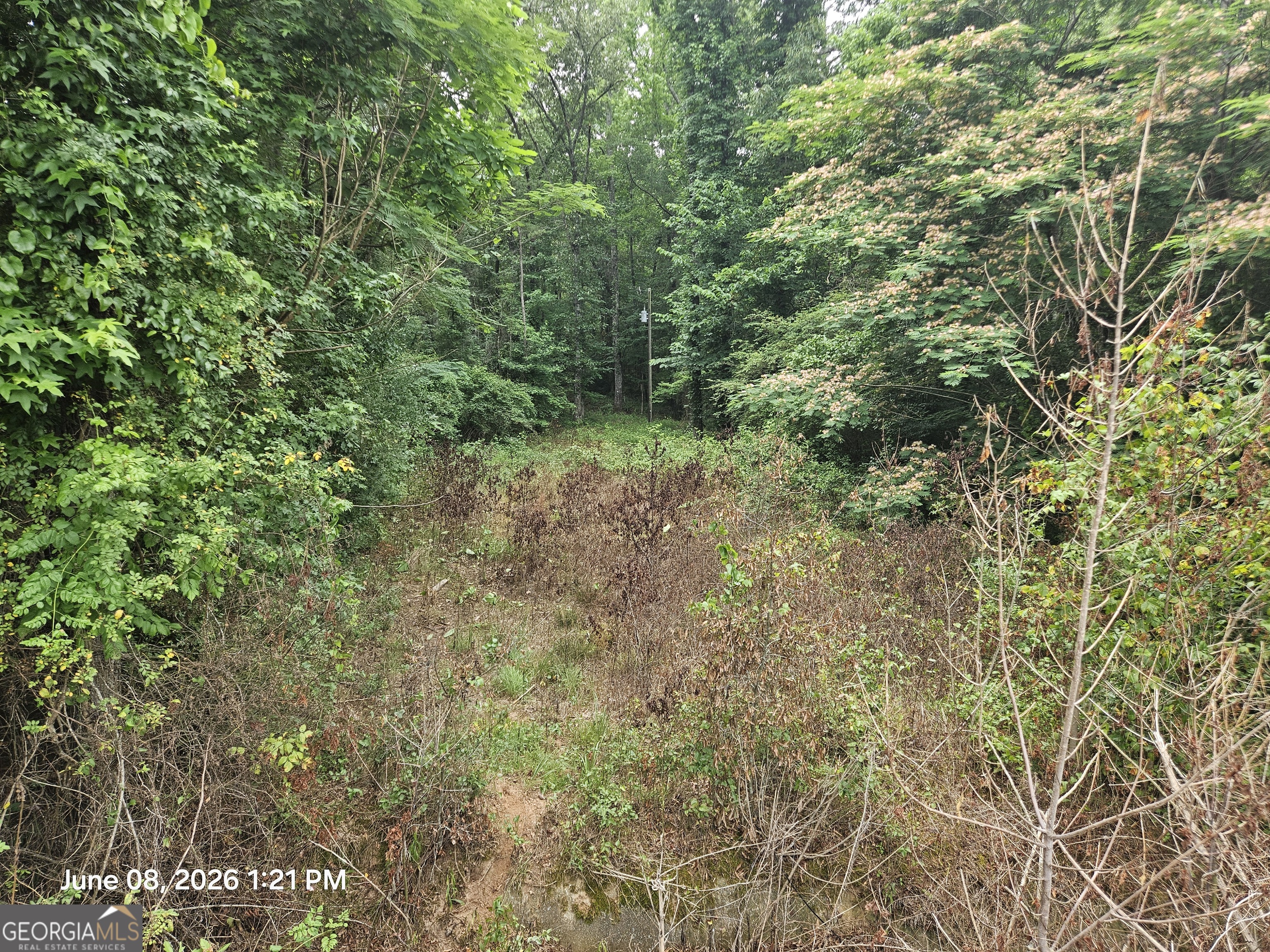0 Davis Road Macon GA 31217